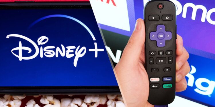 (L to R) A phone with the Disney Plus logo and a Roku remote in a hand.